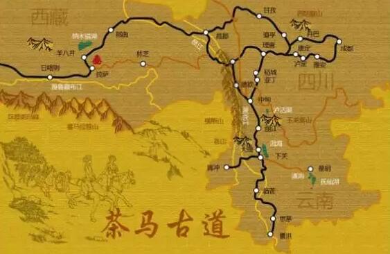 点击打开原图 茶马古道:普洱茶文化之魂(图5)
